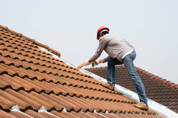 Reliable Port Labelle, FL Roofing service Solutions